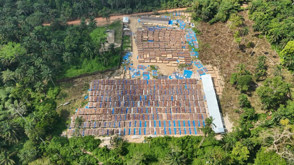 Aerial view of BOON's cocoa drying facility with rows of drying beds surrounded by forest